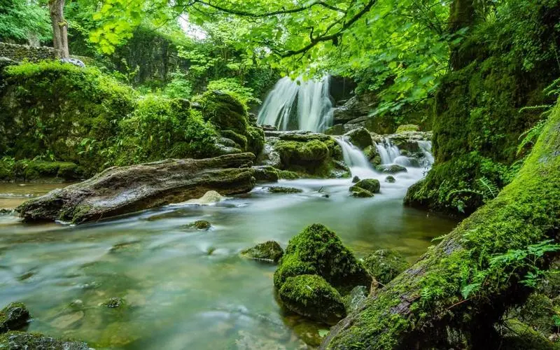 高标准科技高标准